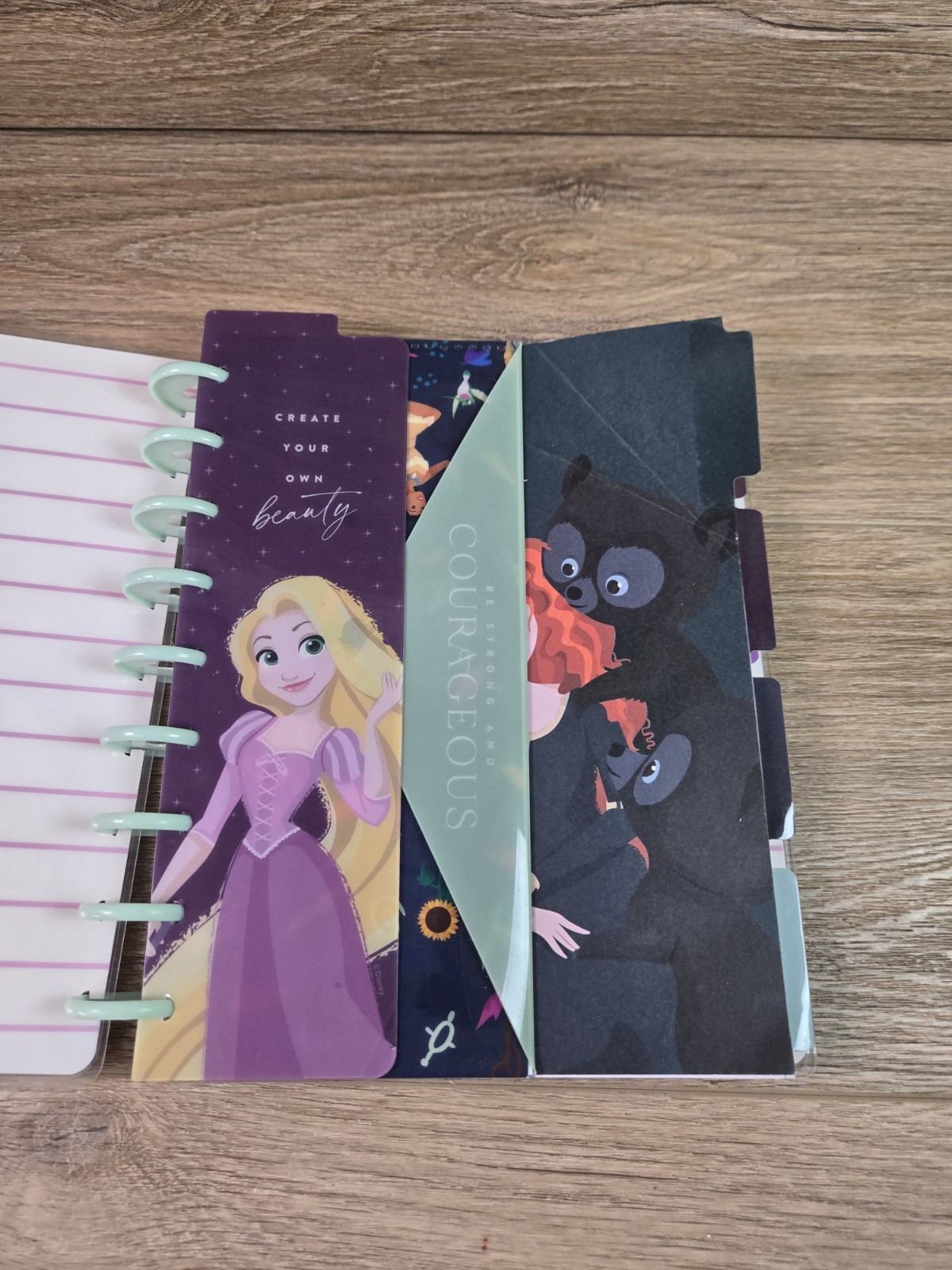 Happy Planner Haul Mix Lot. Disney Binder, 80+ Mics Calander Stickers. Get Fit