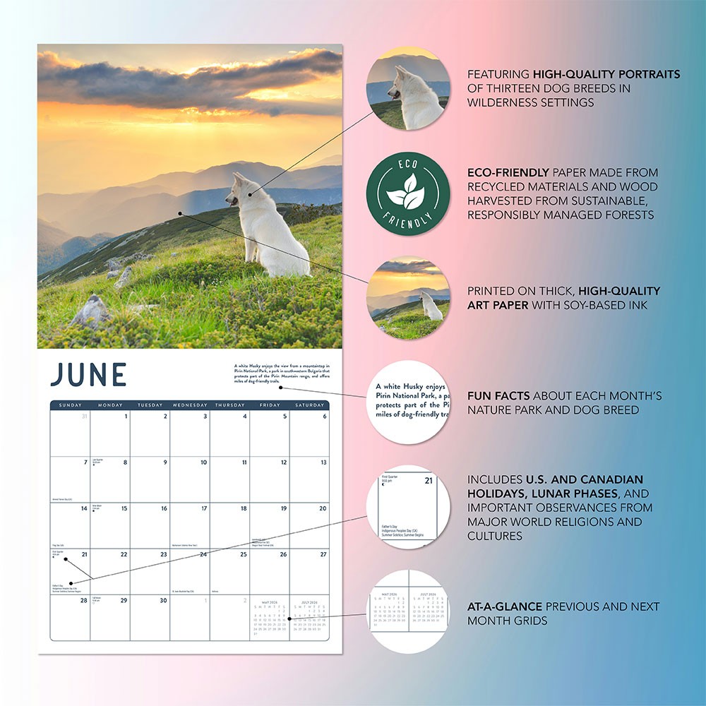 Dog Calendar 2026 | 12″ x 24″ 12 Month Calendar | Marble City Press