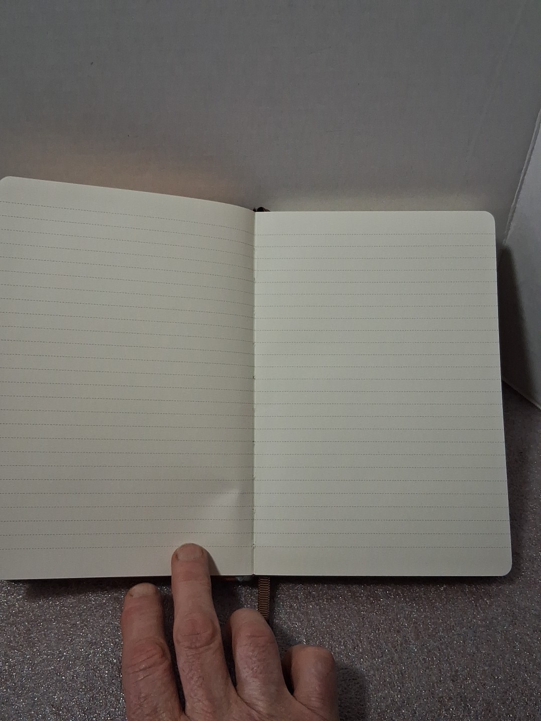 Lemome Faux Leather Journal/Notebook/Diary ~ 8.5″ × 6″
