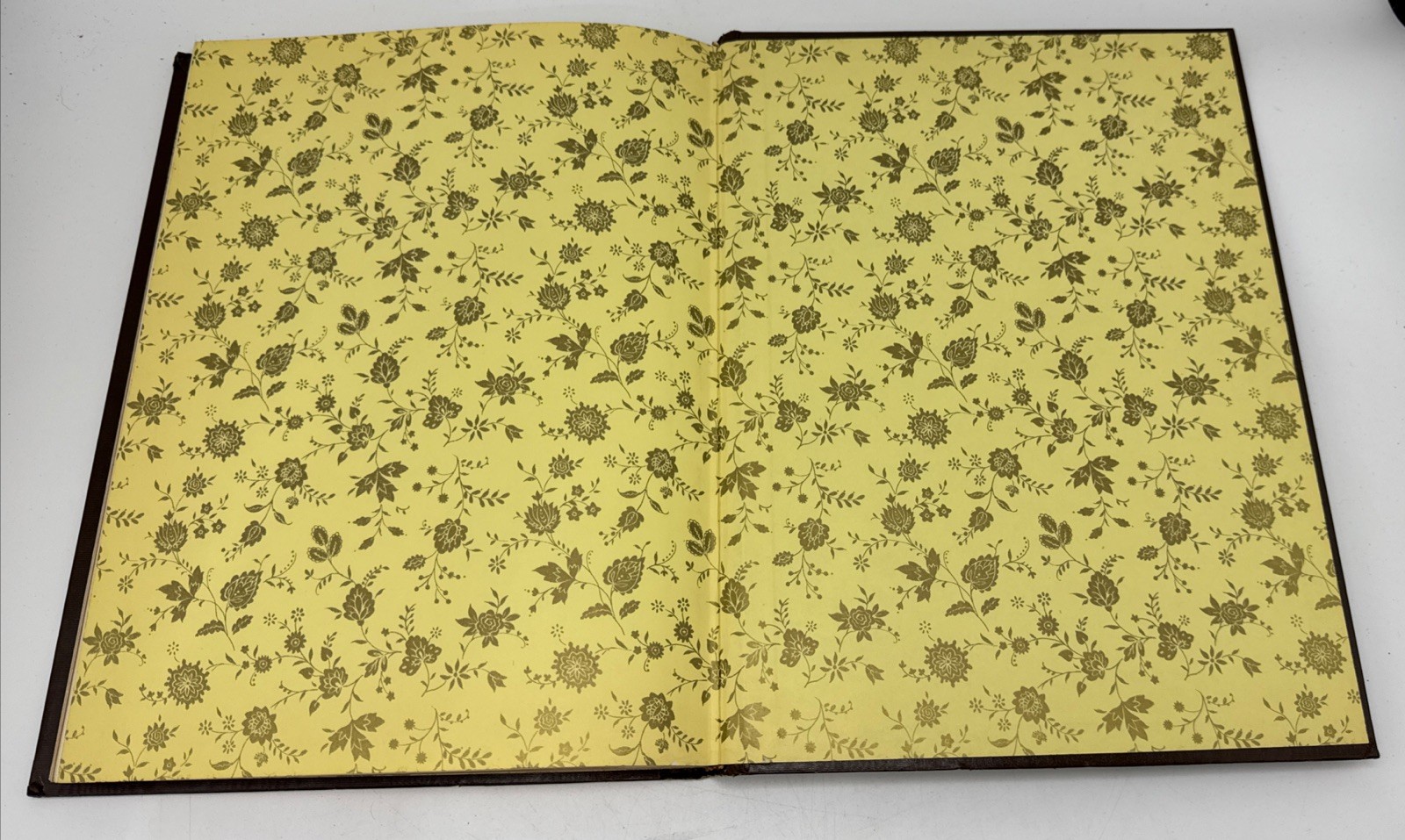 Vtg Hardcover Blank Journal Unlined Peebles Press Unruled Sketch Gold Brown (52)