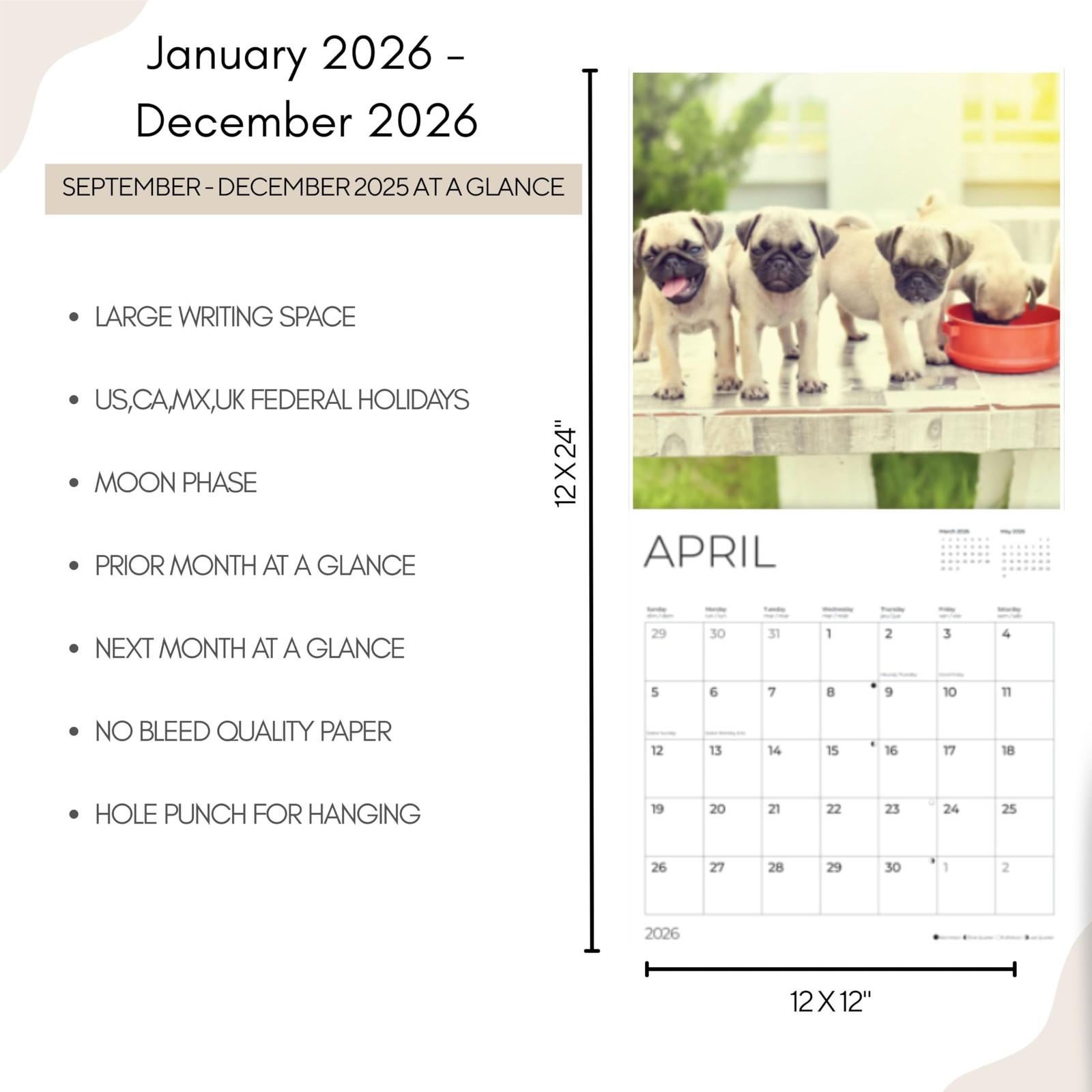 Pug Puppy Wall Calendar 2026| 12″ x 24″ Open | Dog Puppies