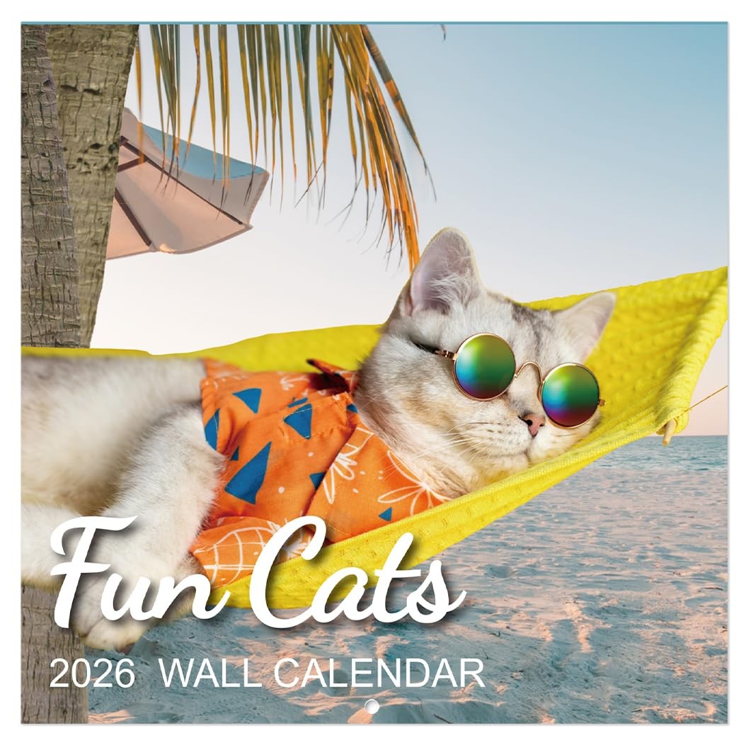 2026 Calendar – 2026 Wall Calendar, Funny Cat 2026, JAN 2026 – DEC…