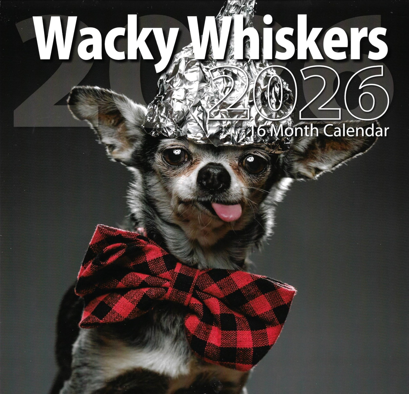 2026 Wacky Whiskers Full Size Wall Calendar for Planning, Scheduling, and…