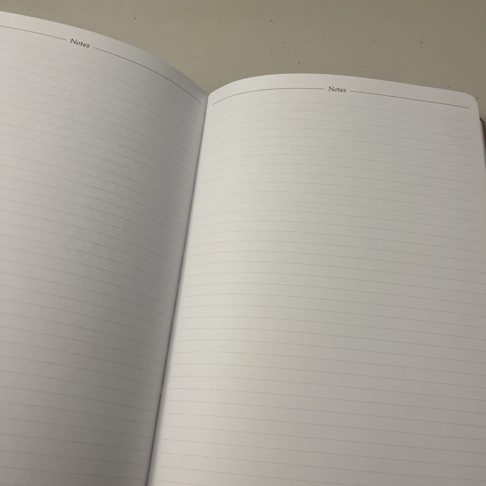 Legend Planner Reading Journal Rose Gold, NEW Book Review