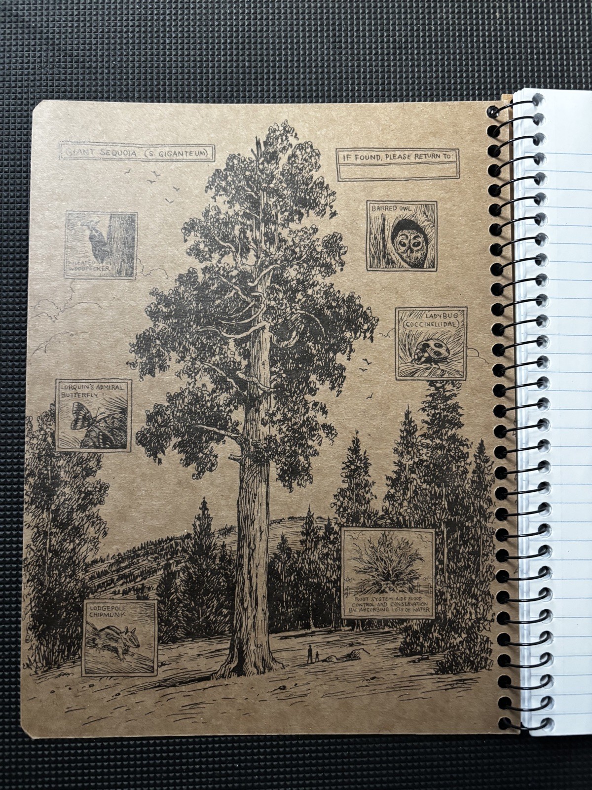 Hummingbirds & Floral Decomposition Book Spiral composition notebook Journal New