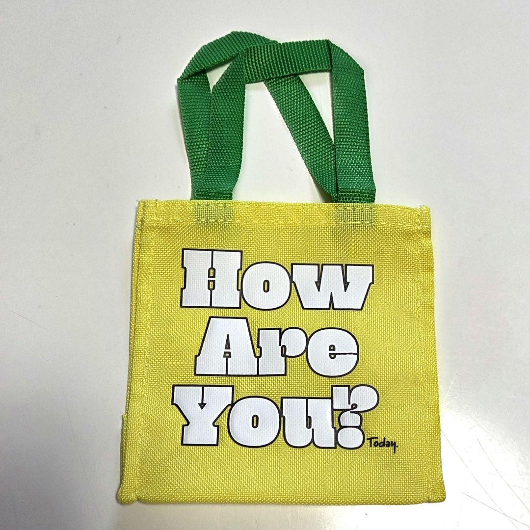 Hobonichi mini permanent paper bag