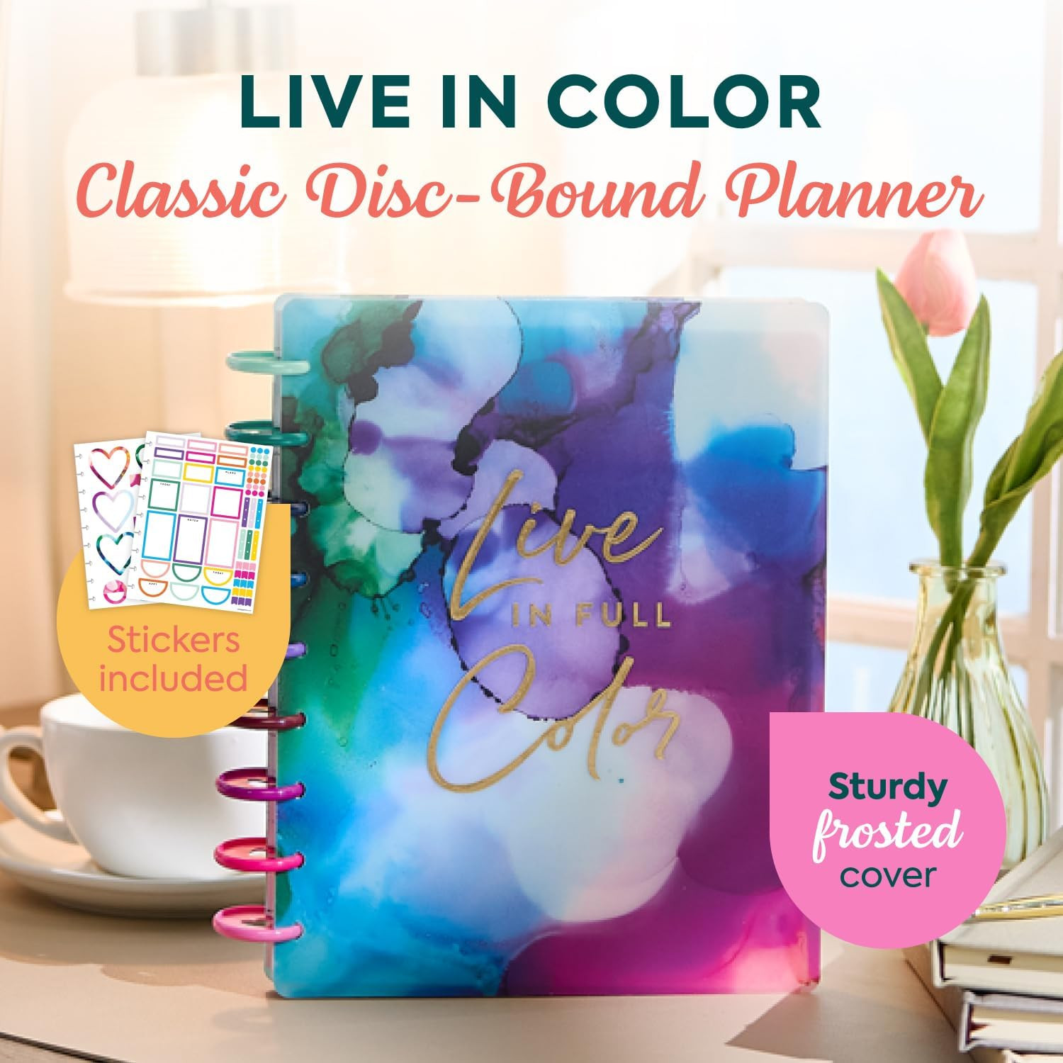 2026 2027 Disc Bound Planner July June Classic Size Horizontal Layout Organizer