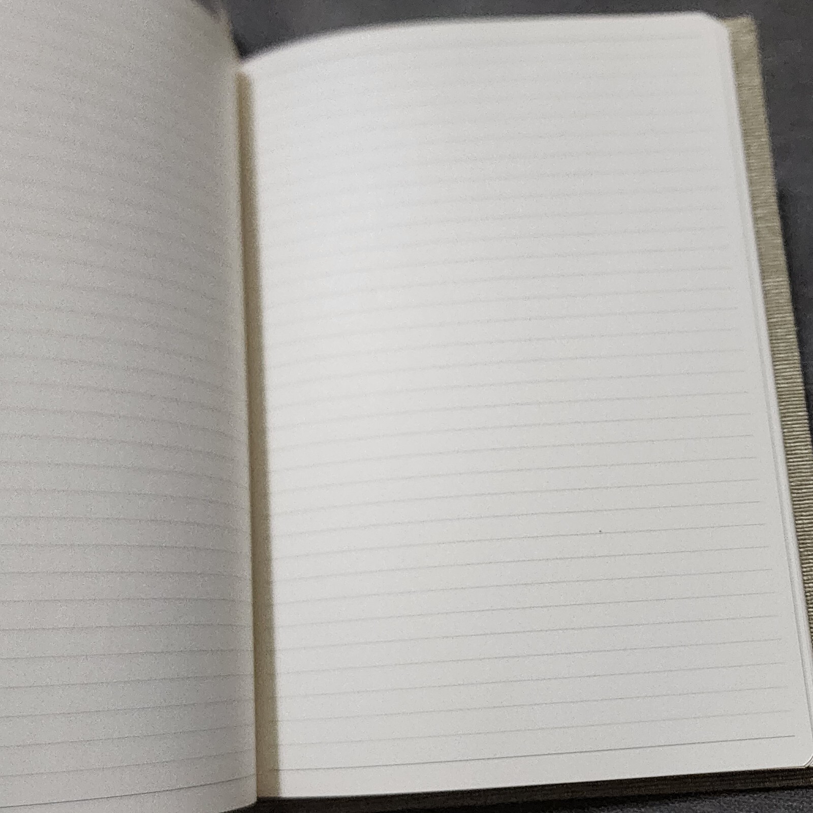 Molly West Handcrafted Blank Lined Journal Hardcover 8″x5.75″ Sage Green