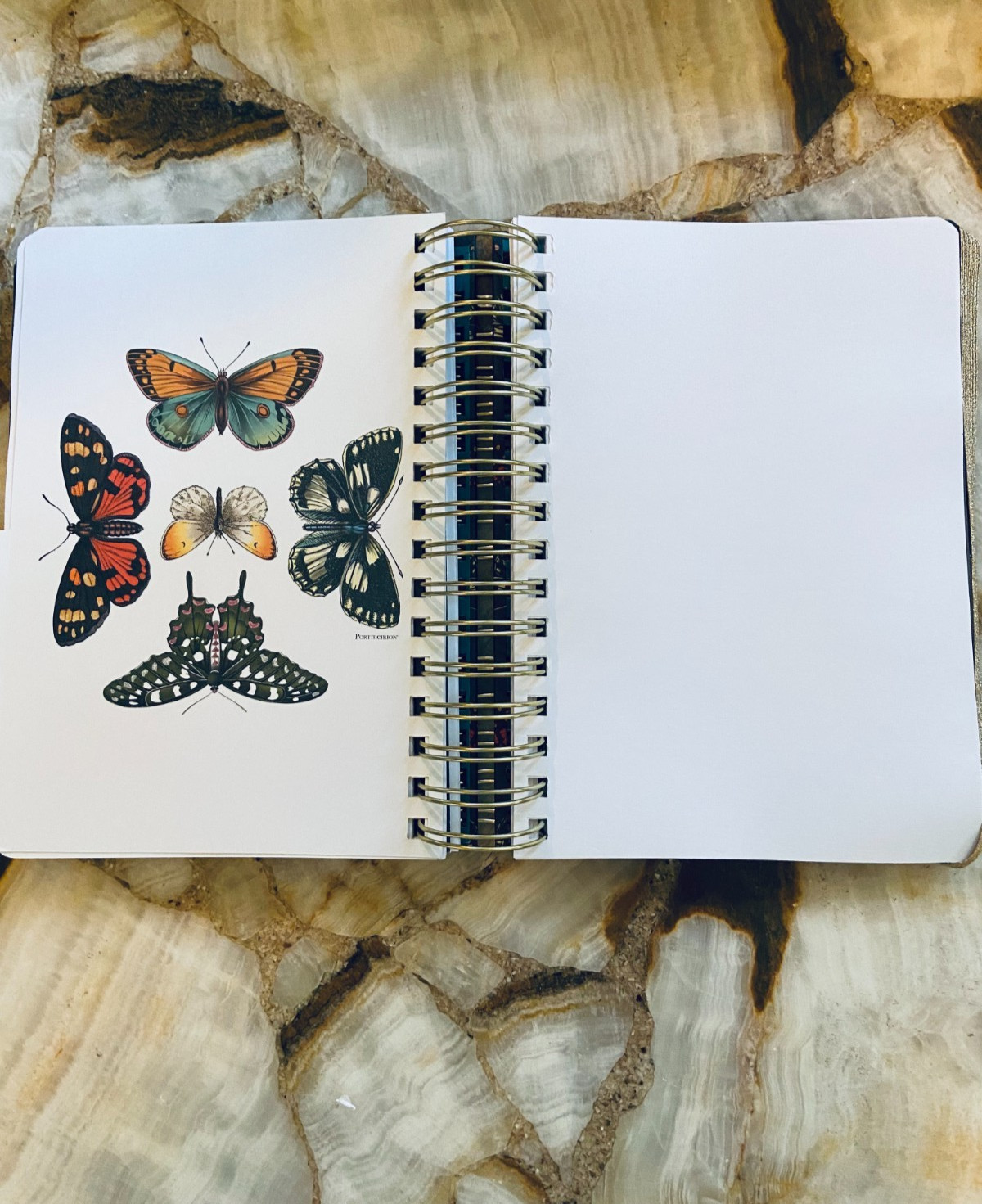 C.R.GIBSON~Portmeirion~Botanic Garden Harmony~Twin Wire~3-in-1 Notebook
