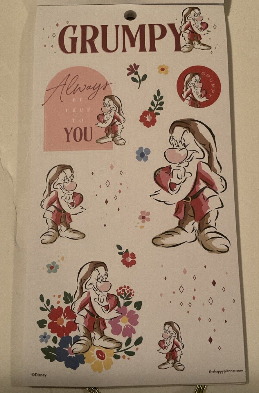 NEW! Happy Planner Disney SNOW WHITE & 7 DWARVES 532 Pcs FAST FREE ship! NICE!