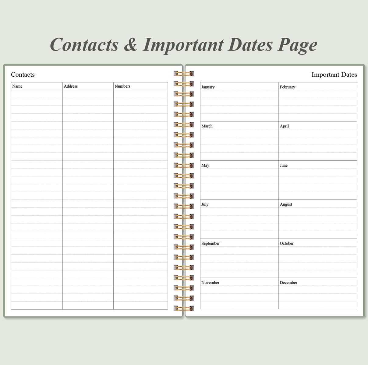 Daily Planner Undated – A5 To Do List Notebook Hourly 5.8″ x 8.5″, Green