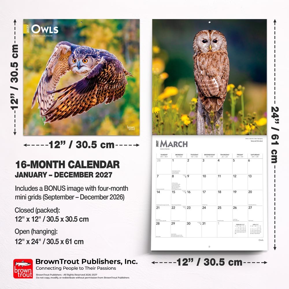 Owls | 2027 12×24″ (Hanging) Monthly Square Wall Calendar | Plastic-Free