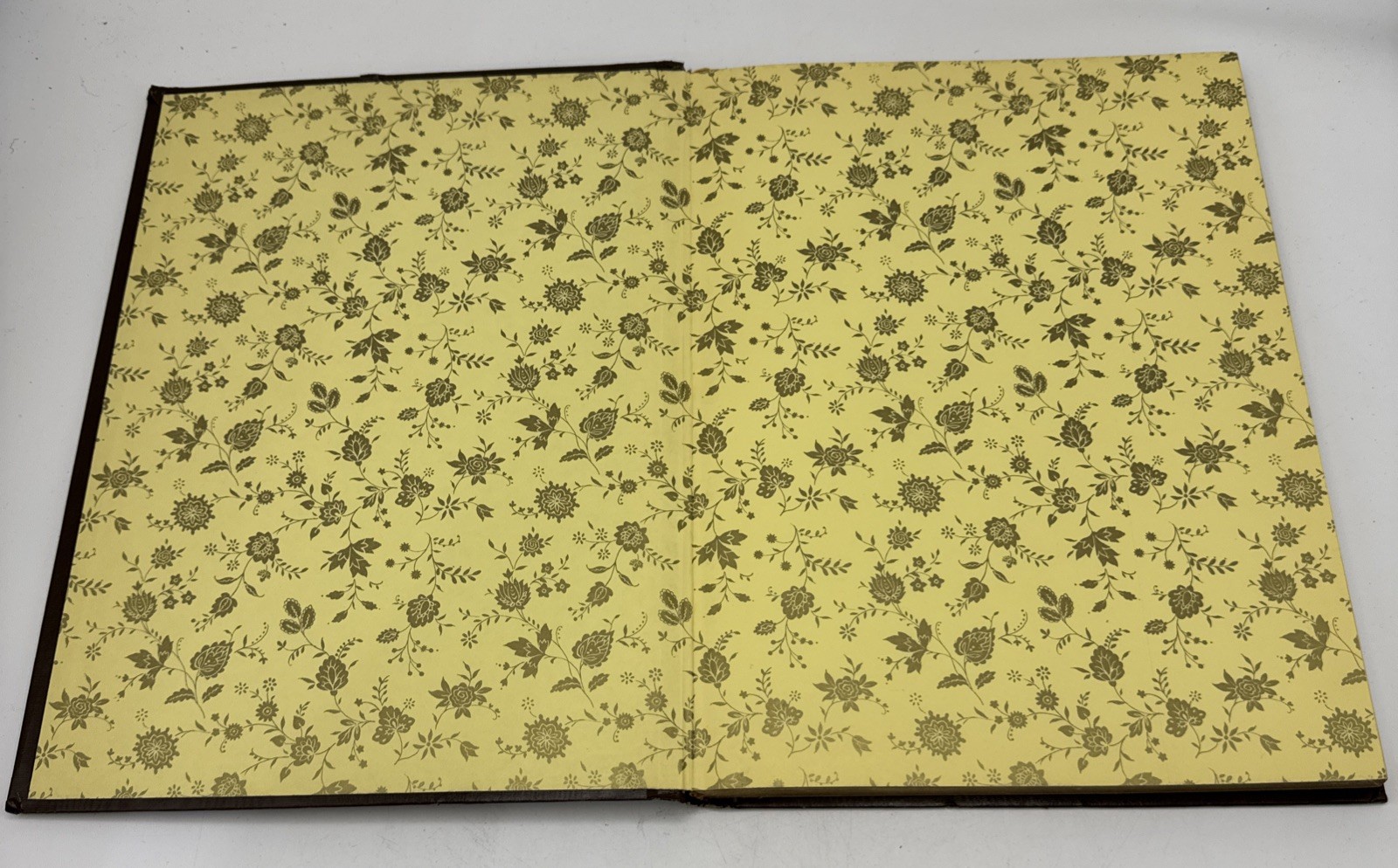Vtg Hardcover Blank Journal Unlined Peebles Press Unruled Sketch Gold Brown (52)