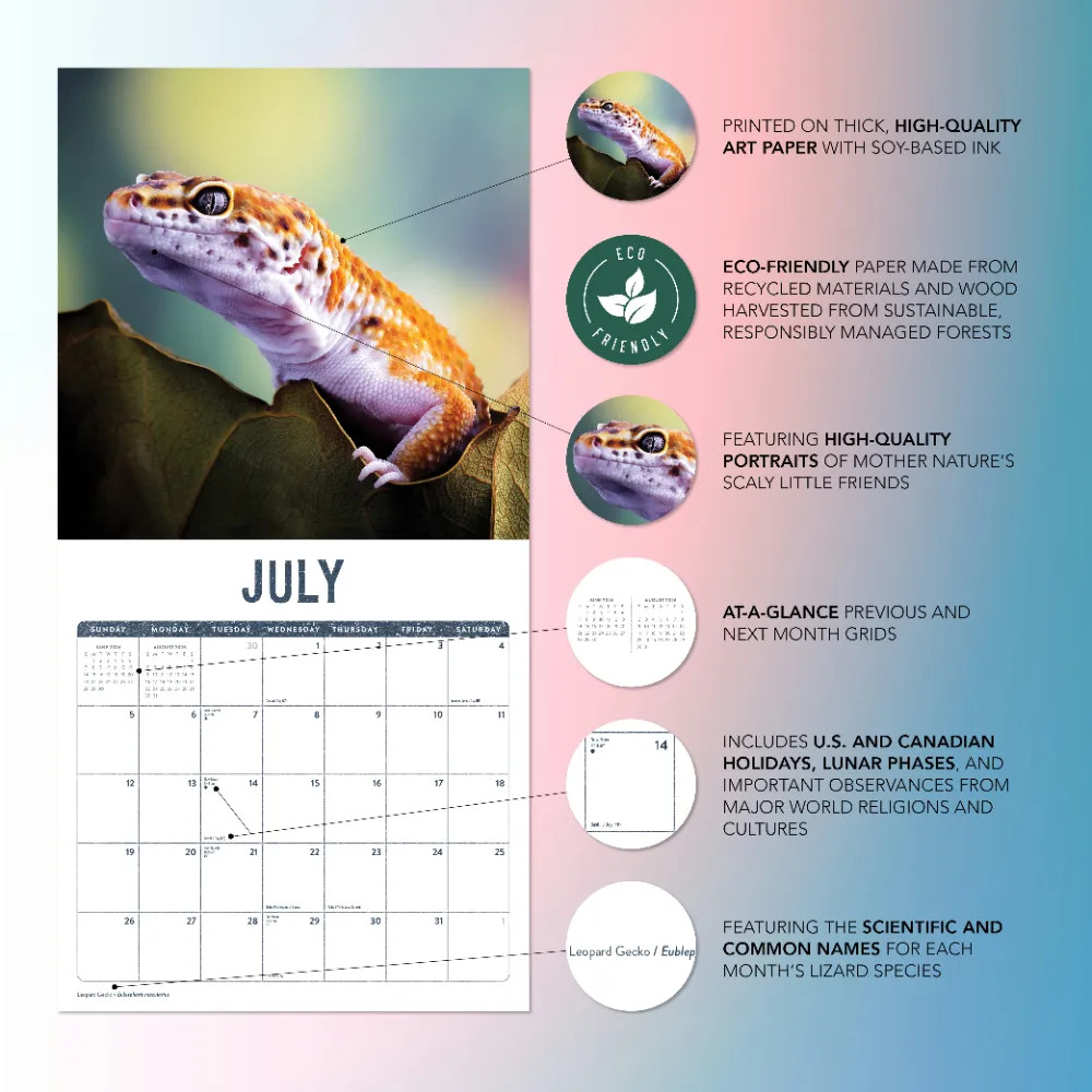 Lizards Calendar 2026 | 12″ x 24″ 12 Month Calendar | Marble City Press