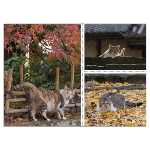 2026 Calendar Good Luck! Cat Calendarfrom JP