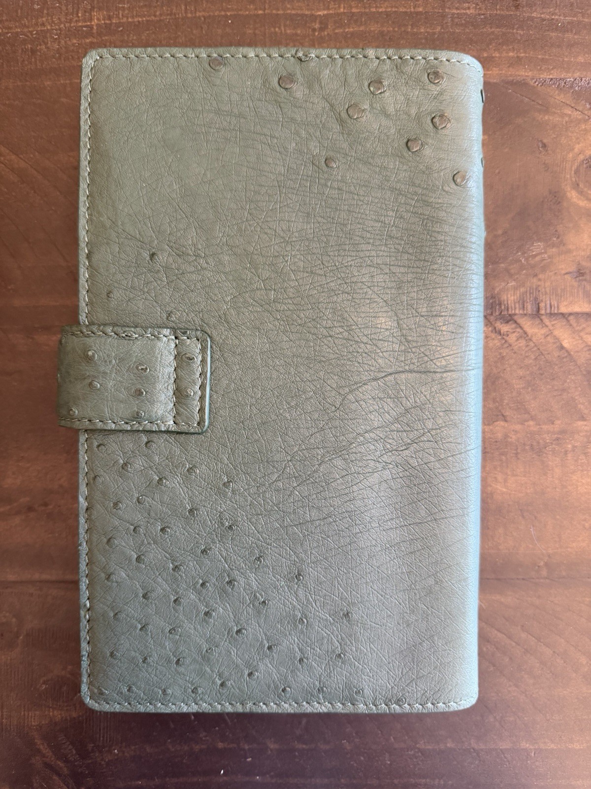 Forest Green Ostrich Leather A5 Slim (A5S) 6-Ring Planner Cover