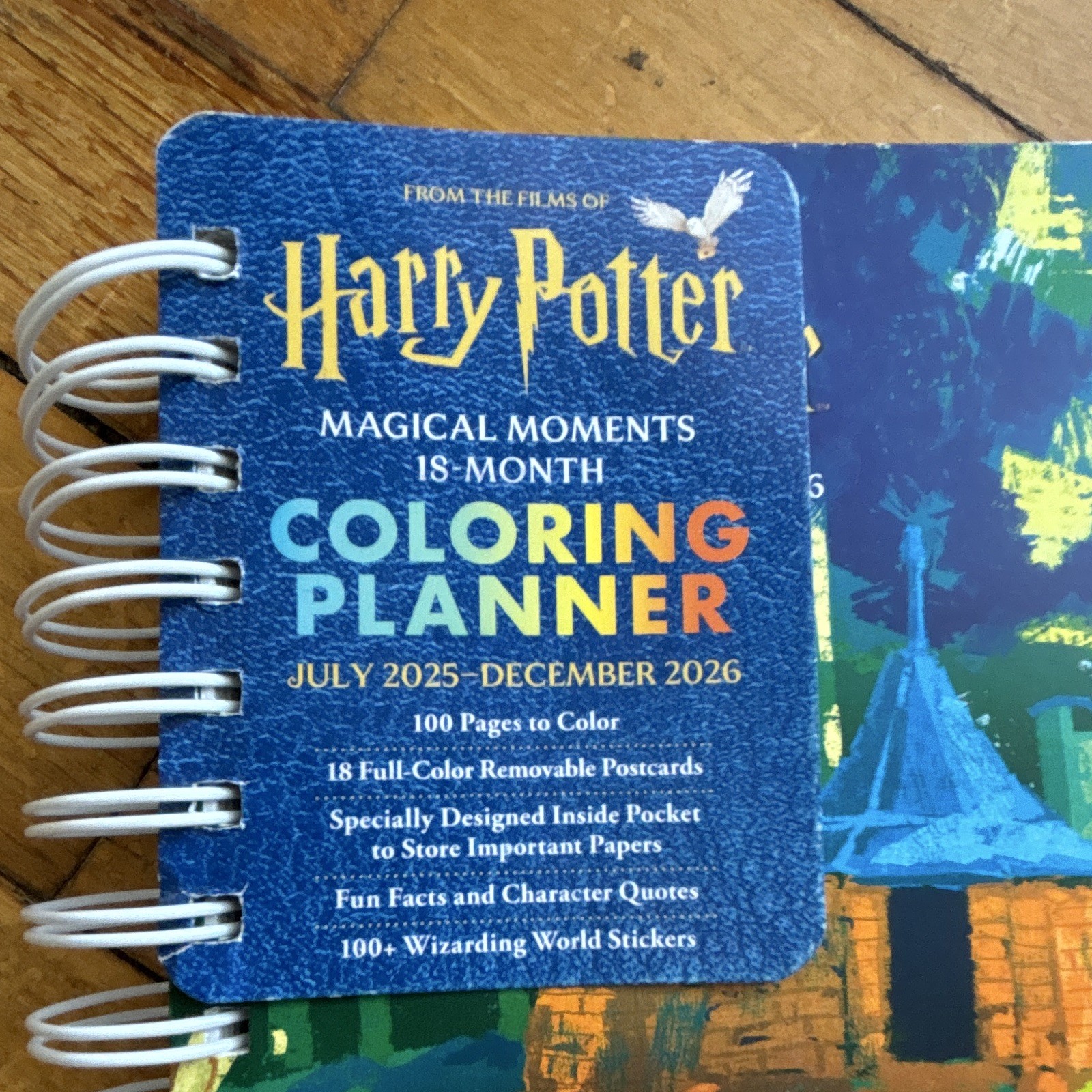 Thunder Bay Press Harry Potter Magical Moments Weekly/Monthly Planner 2025-2026