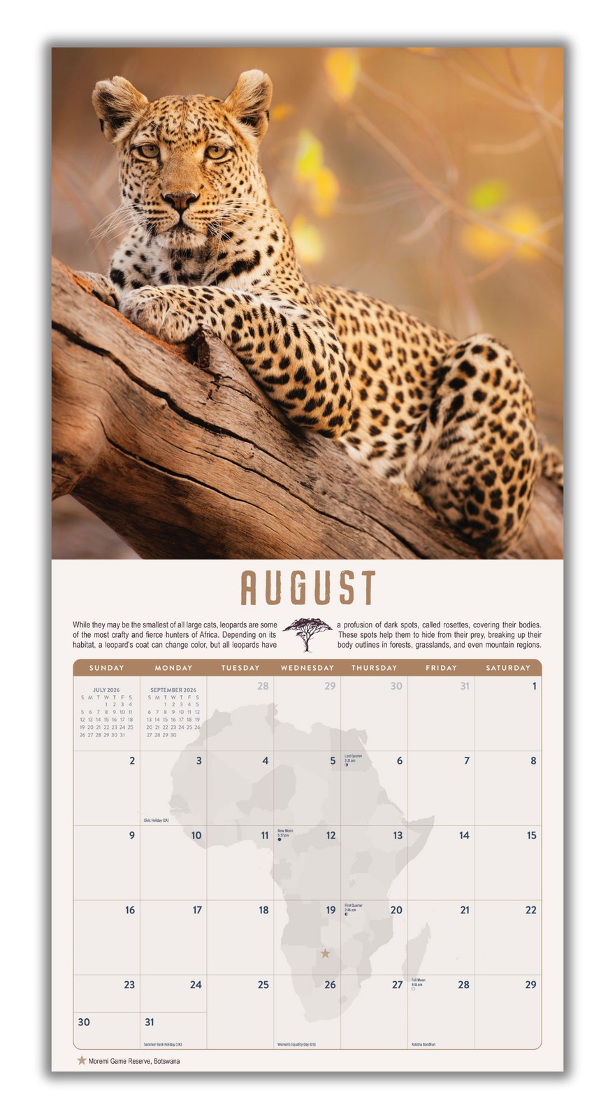 Safari Calendar 2026 | 12×24″ 12 Months | Marble City Press