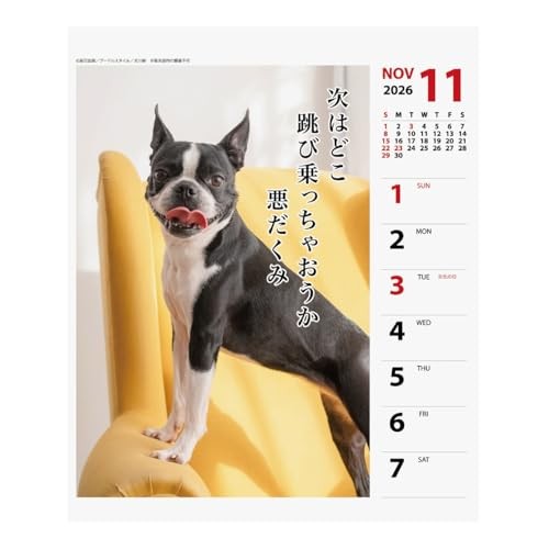 Art Print Japan 2026 Calendar: Pecha Senryu Weekly