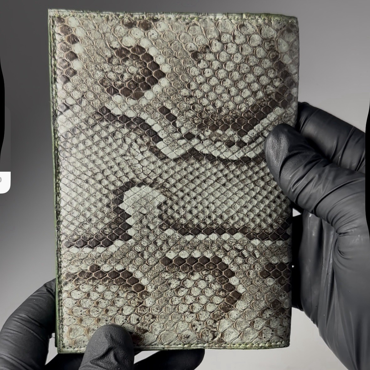 Burmese python a6 notebook coverwallet