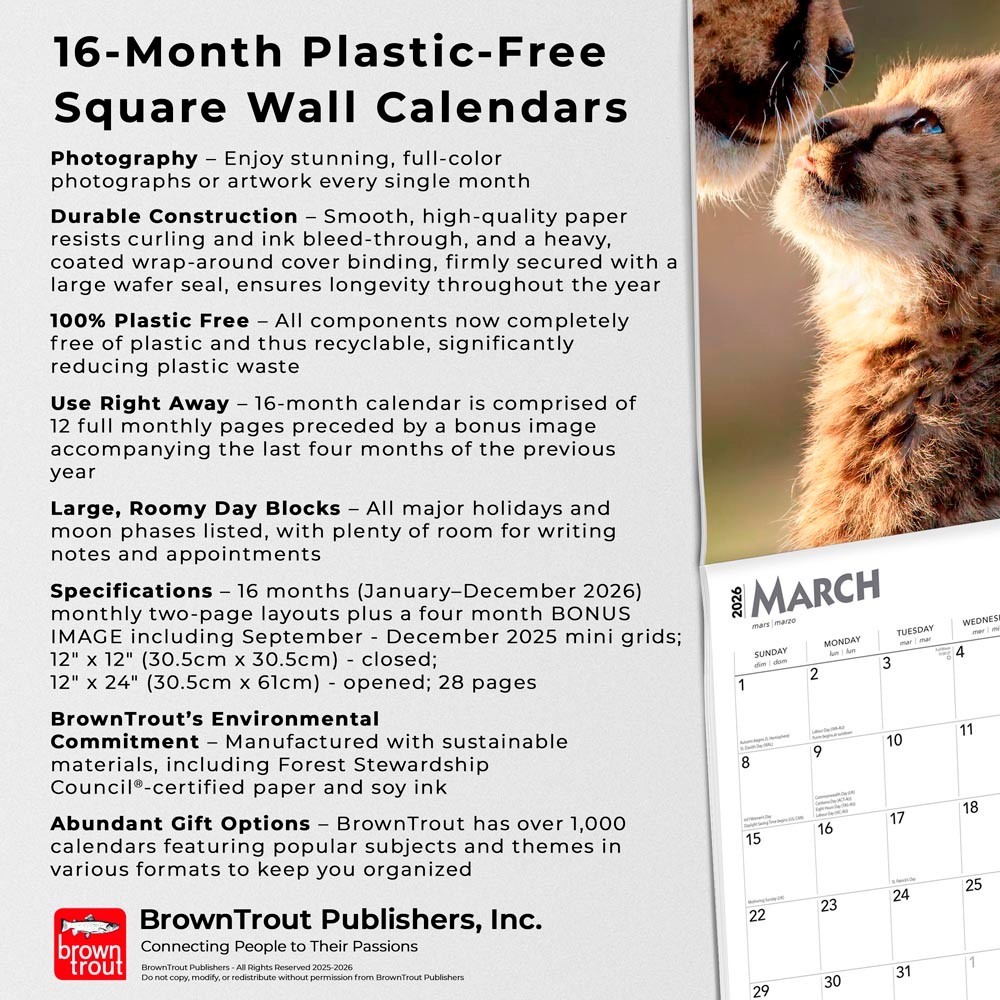 Baby Animals | 2026 12×24″ (Hanging) Square Wall Calendar | Plastic-Free