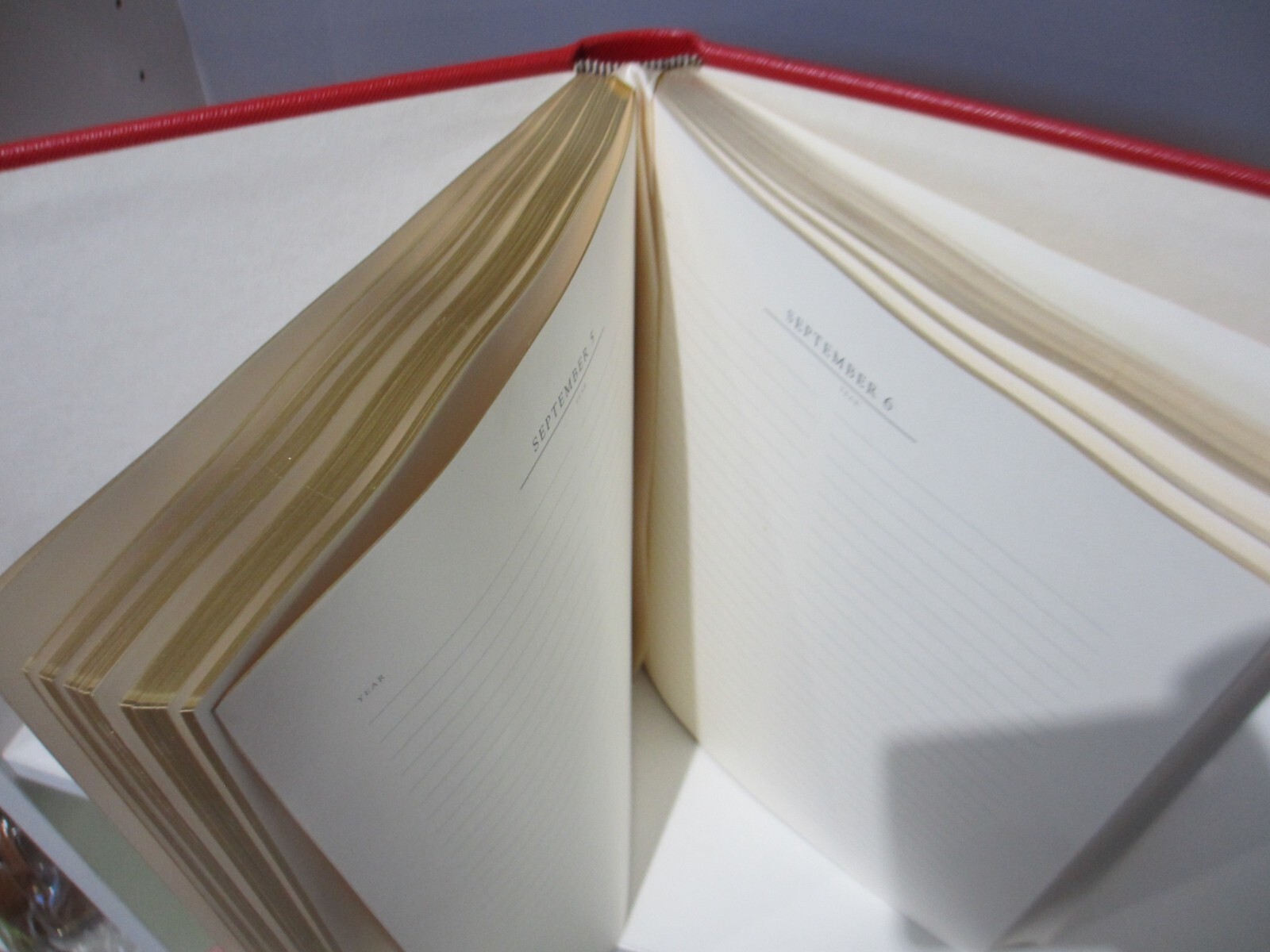 Family History Book Leather Cover 506 Pgs Heirloom Graphic Image NEW$225