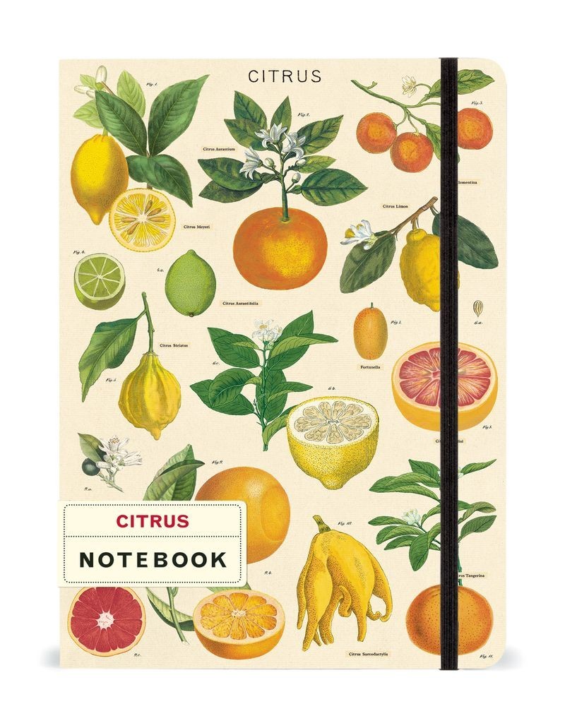 Cavallini & Co. Citrus Large Notebook with elastic closure