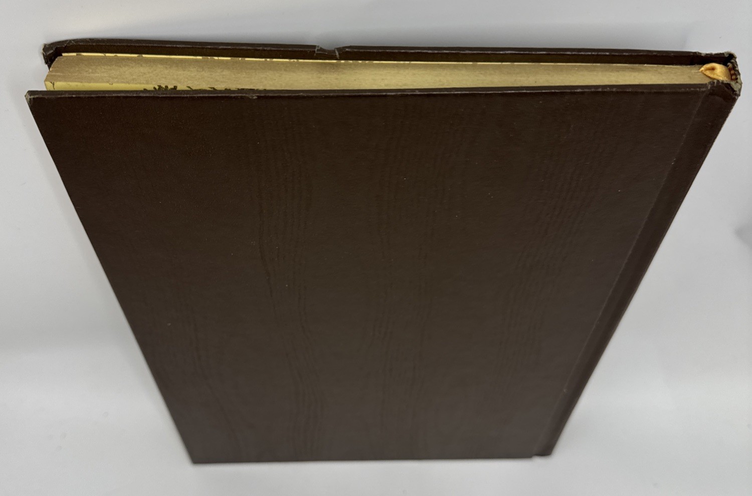 Vtg Hardcover Blank Journal Unlined Peebles Press Unruled Sketch Gold Brown (52)