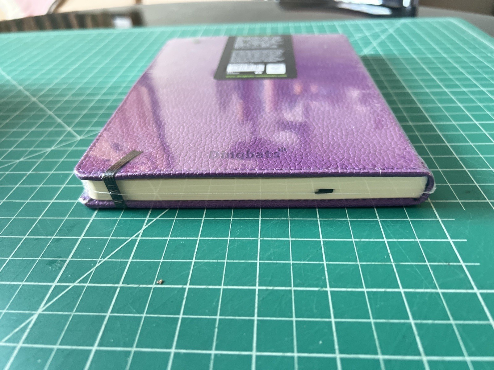 NEW – Dingbats notebook – Purple With Hippo – Lined