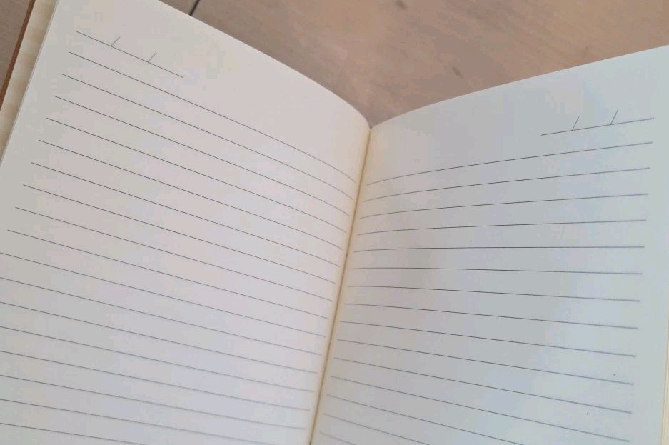 Denik Notebook Journal Embroidered Cover Ribbon Marker Lined 144 Pages Layflat