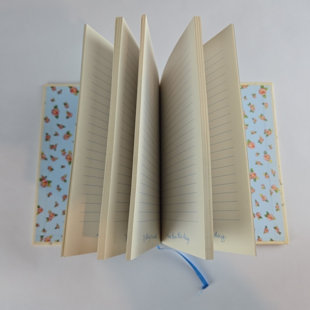 Diary Nothing Is Worth More Than This Day Personal Blank Journal Andrews McMeel