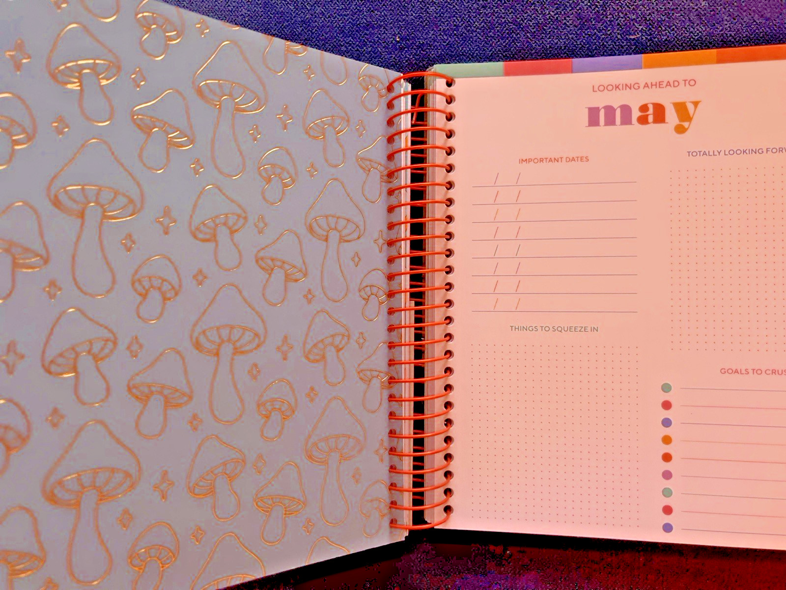 17 Month Planner FAST FOODIE Aug 2025 – Dec 2026 Weekly Planning Note Page Gift