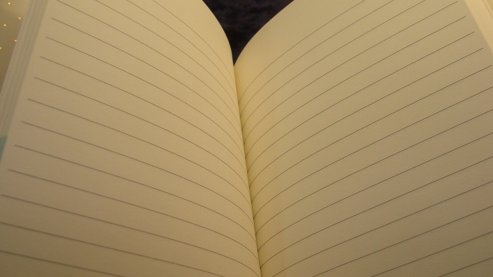 KATE SPADE NOTE BOOK~ 5”x8.25” ~ There Are A Couple Nicks On The Back~Never Used