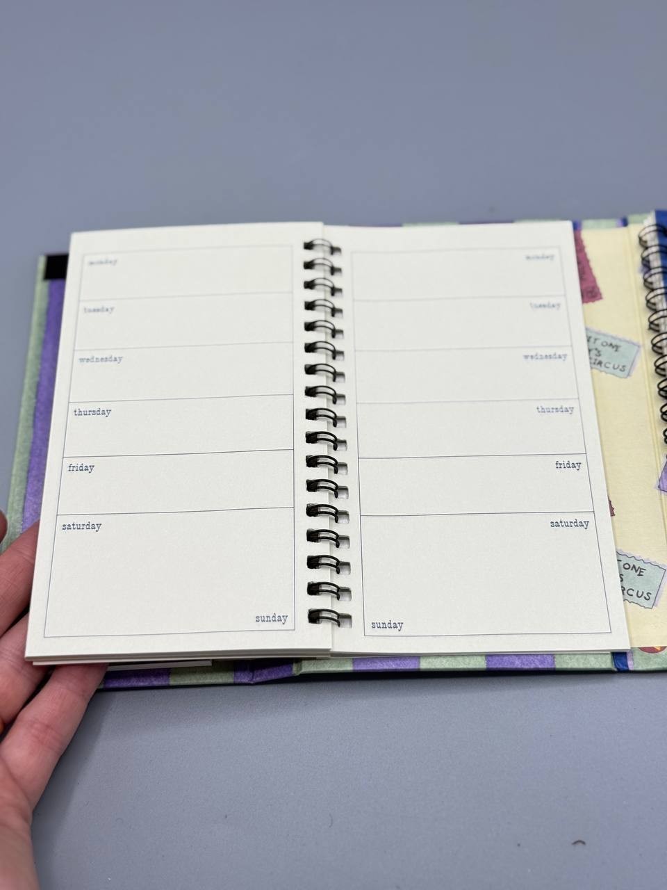 Vintage Disney Minnie Mouse Circus UNUSED Undated Organizer Address Book Planner