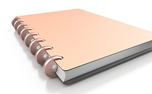 Discbound Discs 0.94in Rose Gold – Precision CNC Aluminum for Smooth Flipping