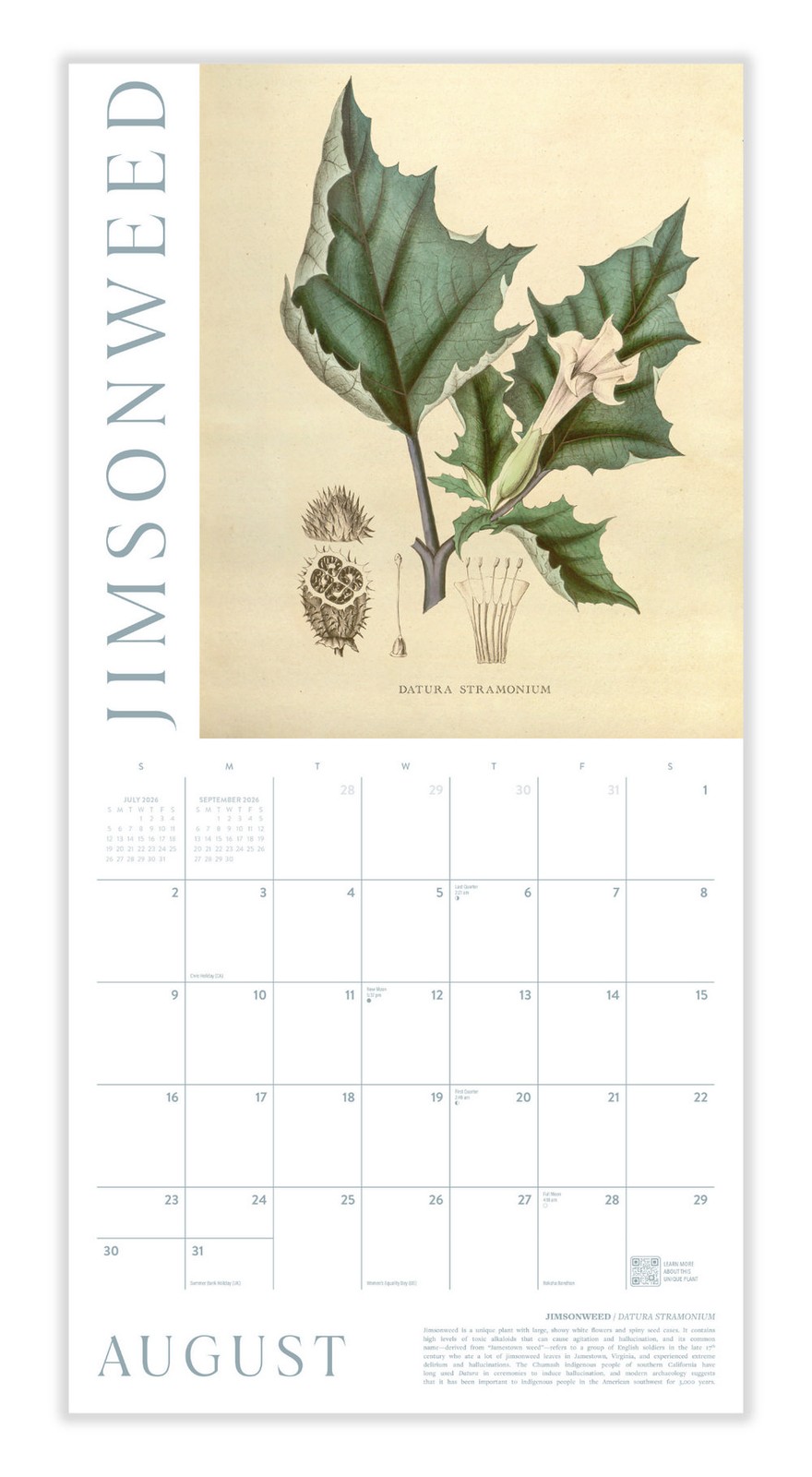 Herbal Apothecary Calendar 2026 | 12″ x 24″ 12 Month | Marble City Press