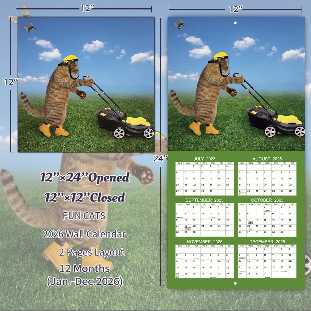 2026 Calendar – 2026 Wall Calendar, Funny Cat 2026, JAN 2026 – DEC…