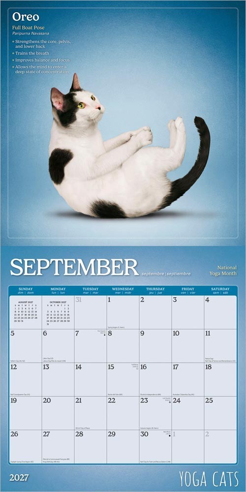 Yoga Cats OFFICIAL | 2027 12×24″ (Hanging) Square Wall Calendar | Plastic-Free