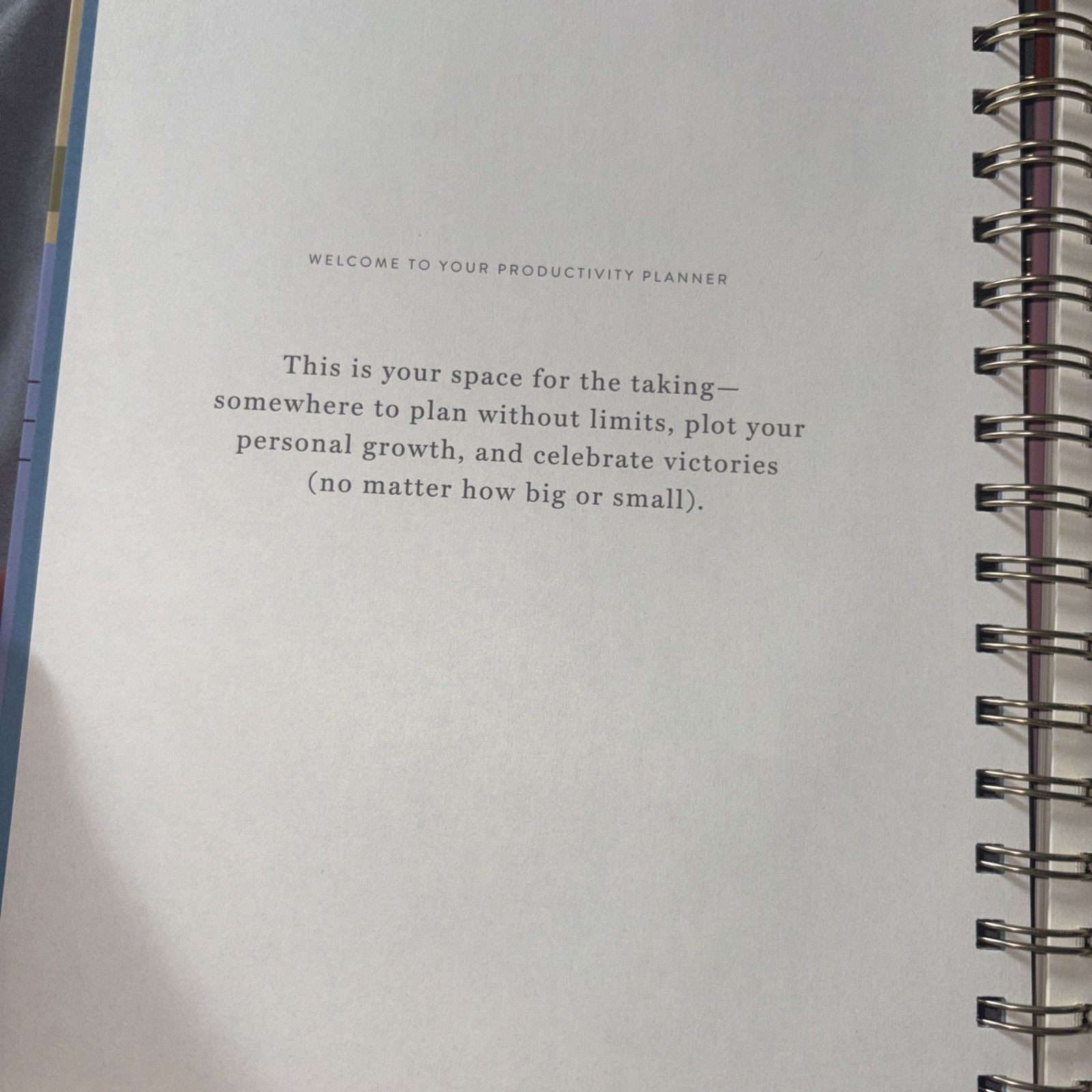 Papier Productivity Planner 12 Weeks Undated of Daily Pages New
