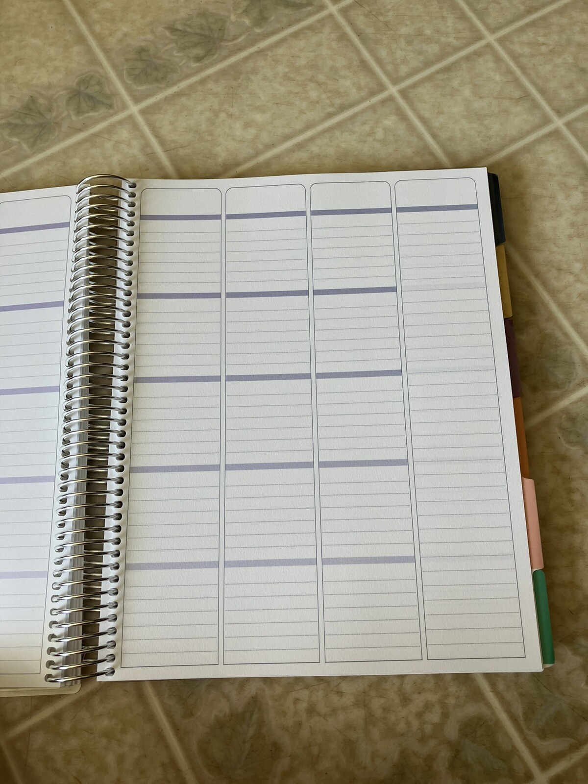 Undated Homeschool Planner 8.5″ x 11″ 12-Month Metallic Wildflower Erin Condren