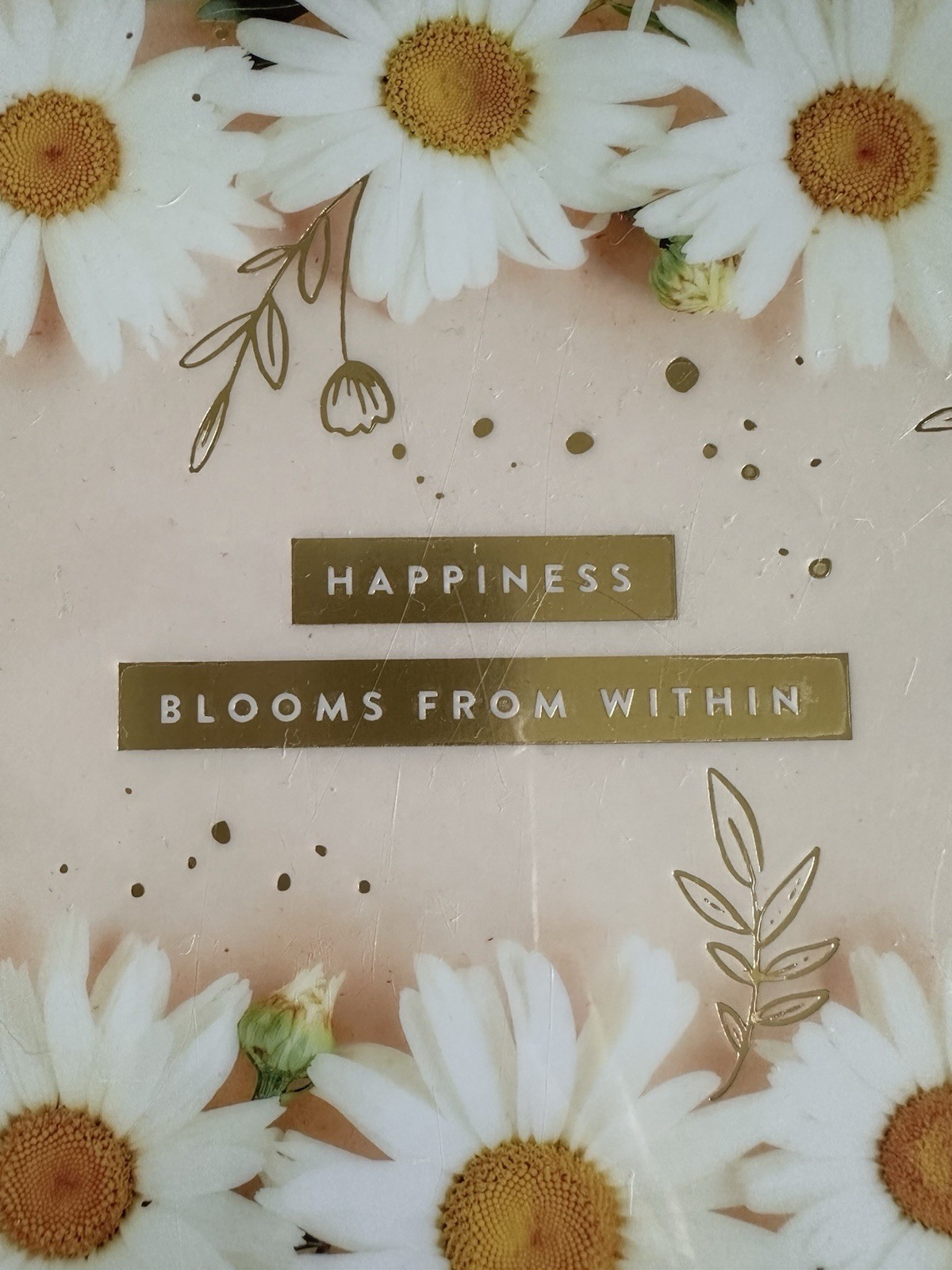 The Happy Planner Floral Cover Disc-Bound Notebook