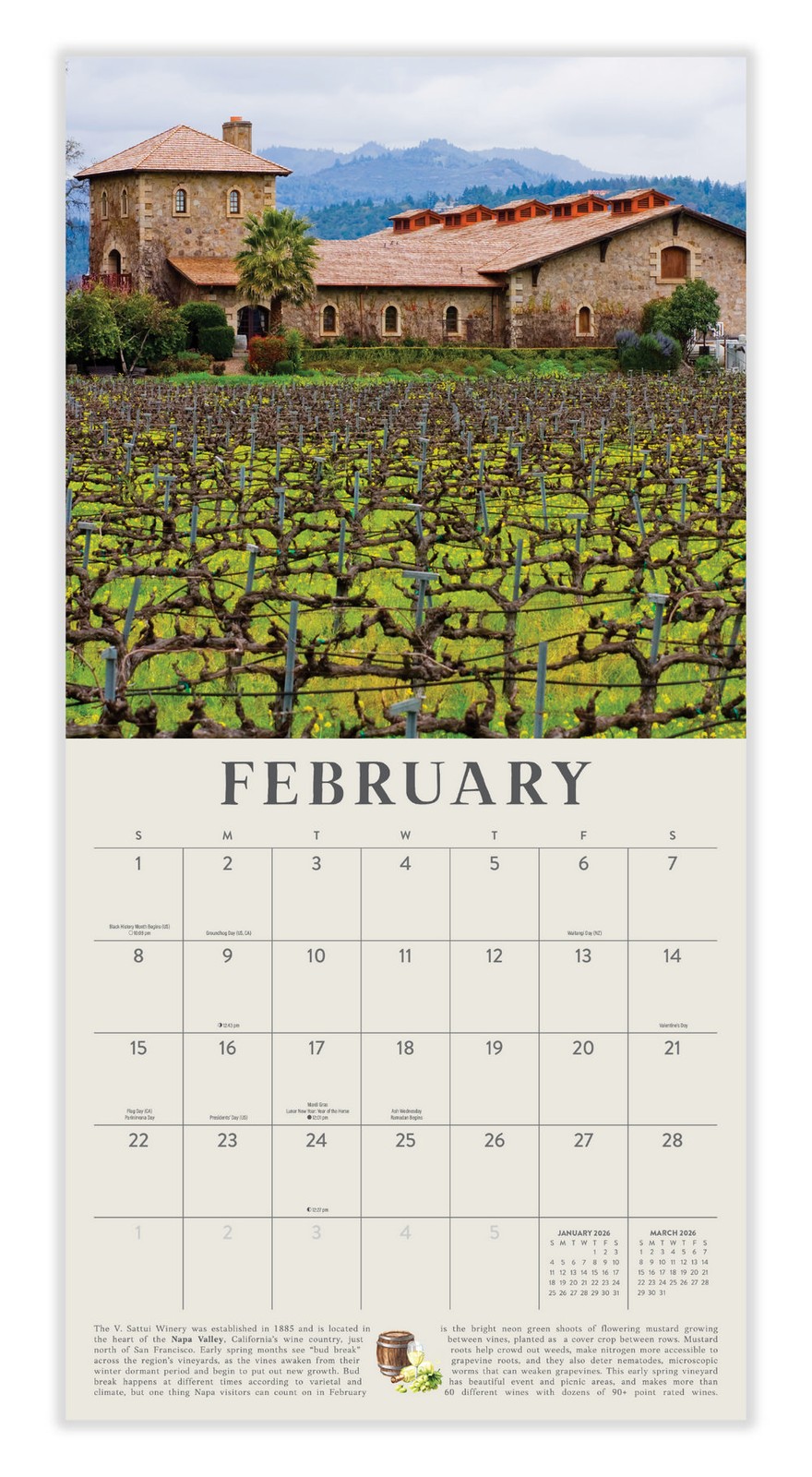 Wine Country Calendar 2026 | 12″ x 24″ 12 Month Calendar | Marble City Press