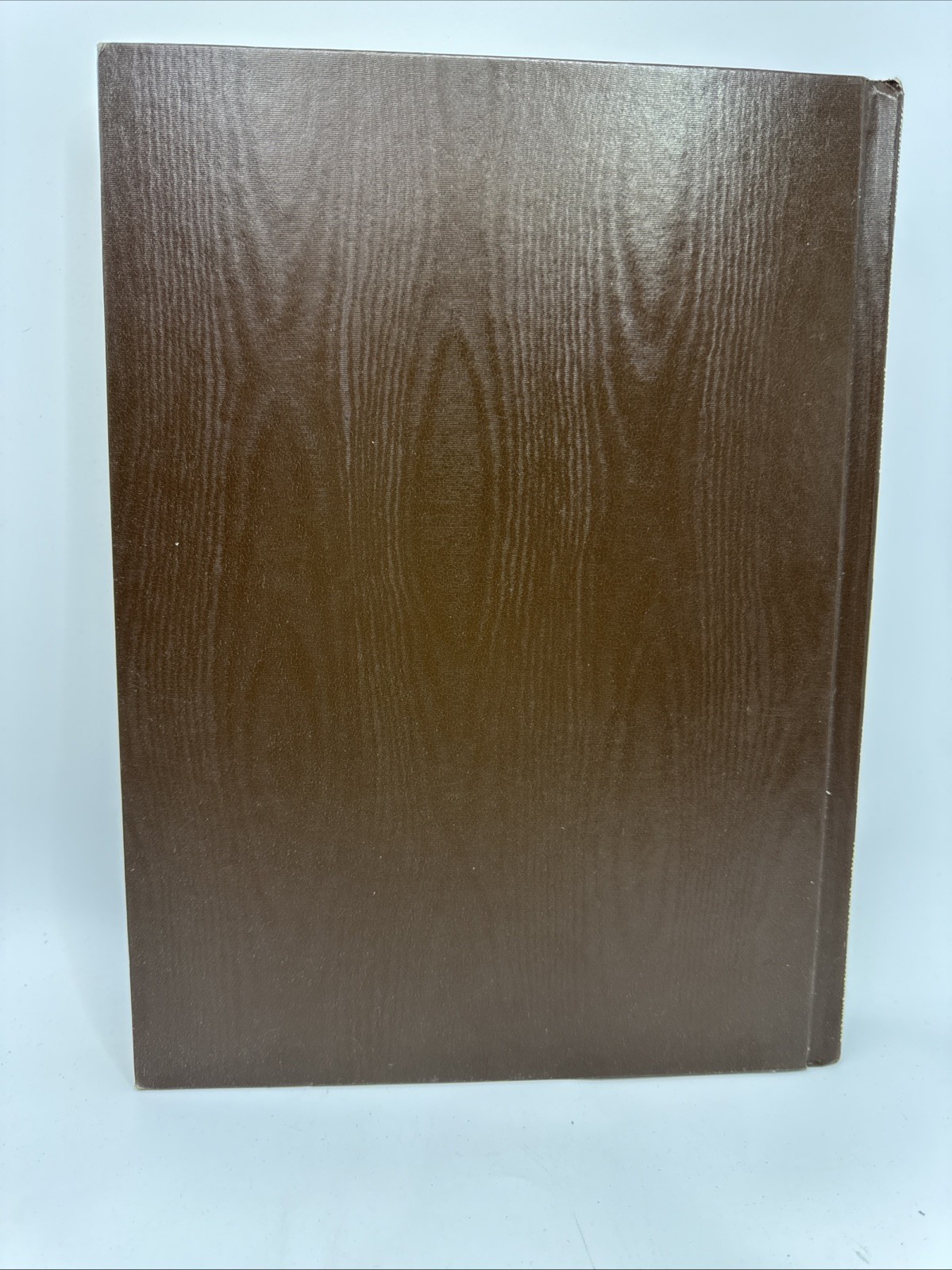 Vtg Hardcover Blank Journal Unlined Peebles Press Unruled Sketch Gold Brown (52)