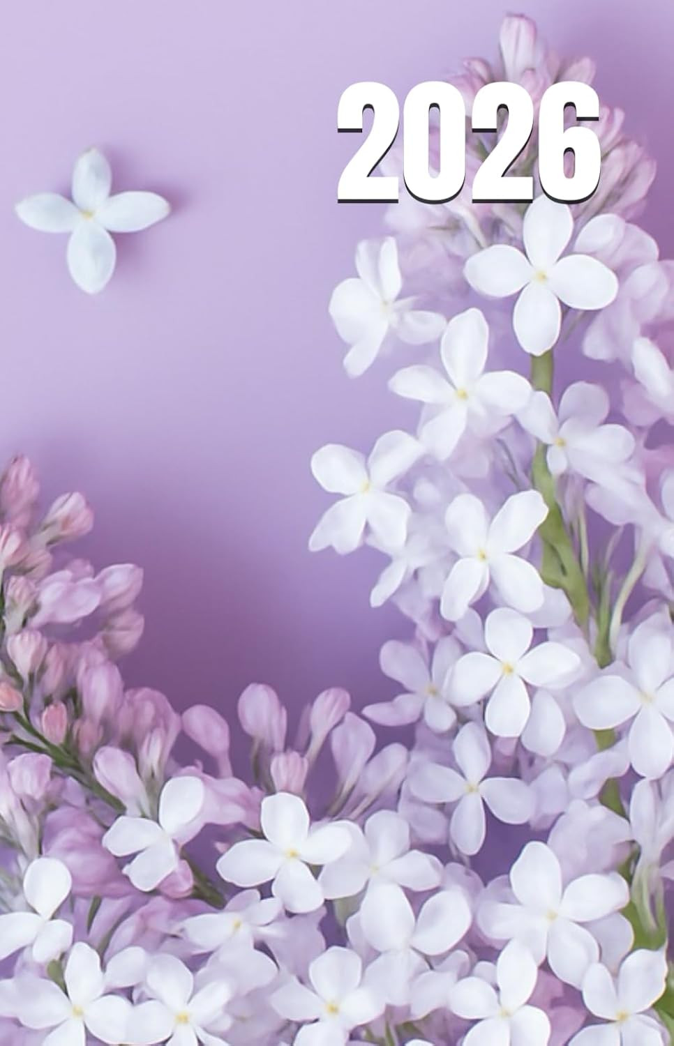 2026: Stress Relief Journal with Diary