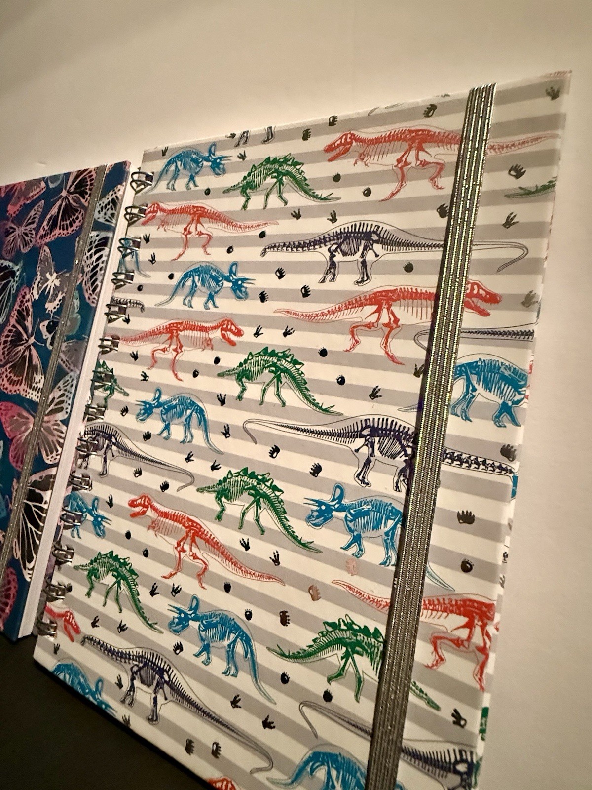 Set of 2 Spiral Journals Butterfly & Dinosaur Lined Notebooks Elastic Band New