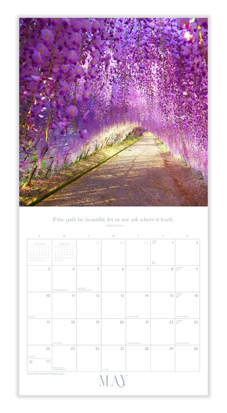 Pathways Calendar 2026 | 12″ x 24″ 12 Month Calendar | Marble City Press