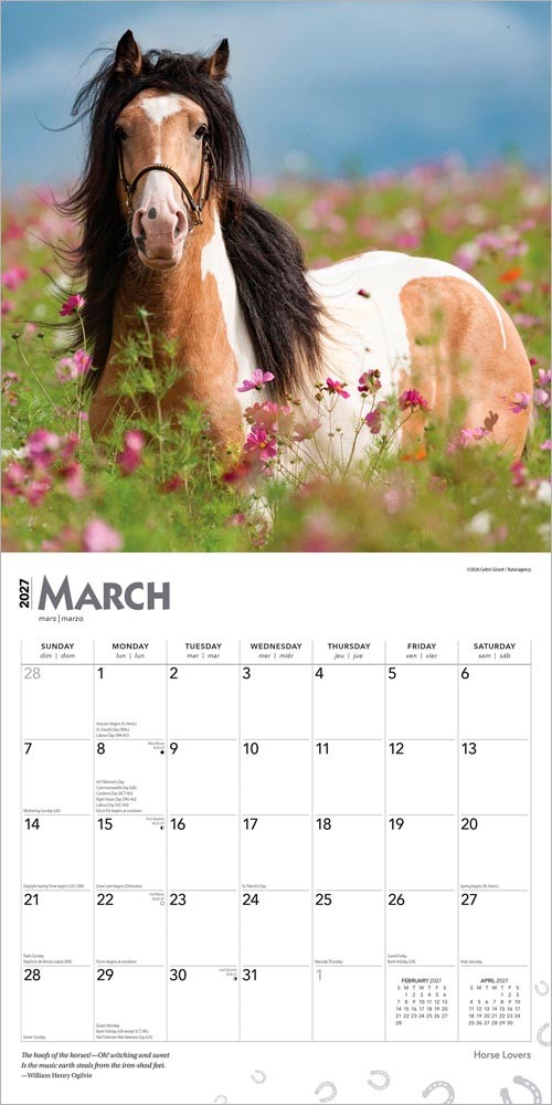 Horse Lovers | 2027 12×24″ (Hanging) Monthly Square Wall Calendar | Plastic-Free