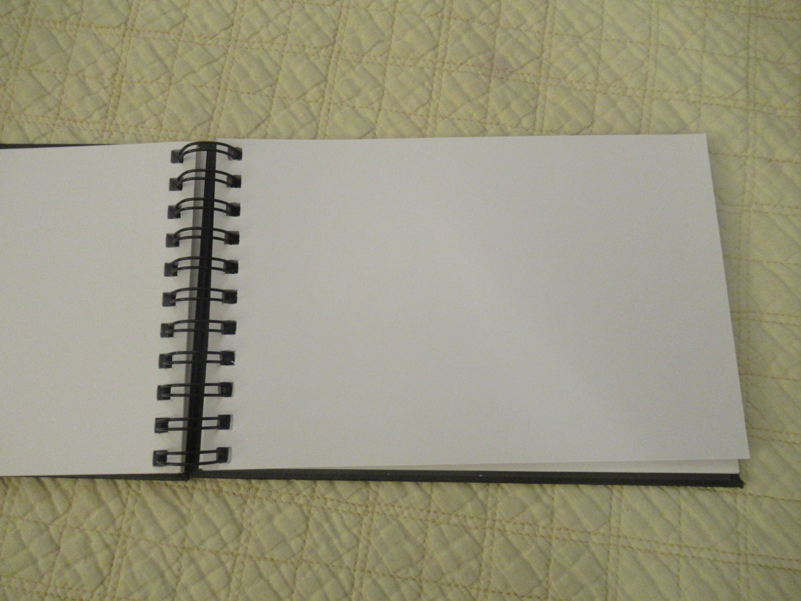 Piccadilly Spiral-Bound Sketchbook (8.5 x 5.5) (Black) (Acid-Free Paper)