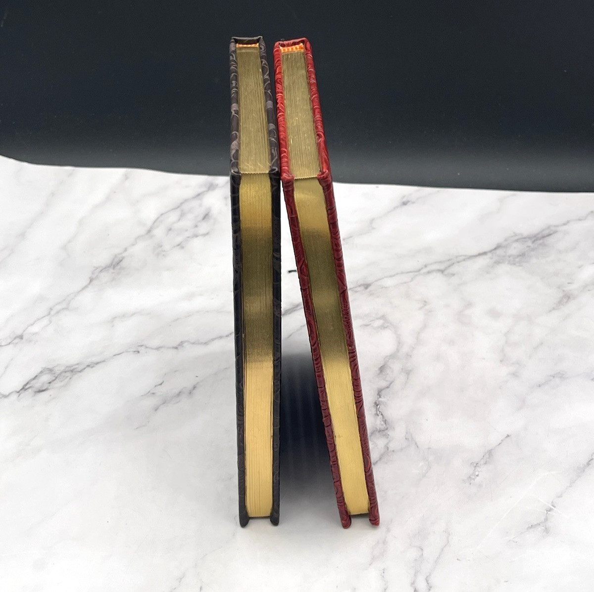 Set of 2 Leather Embossed Hard Cover Journal Notebook Gold Pages Travel Writing