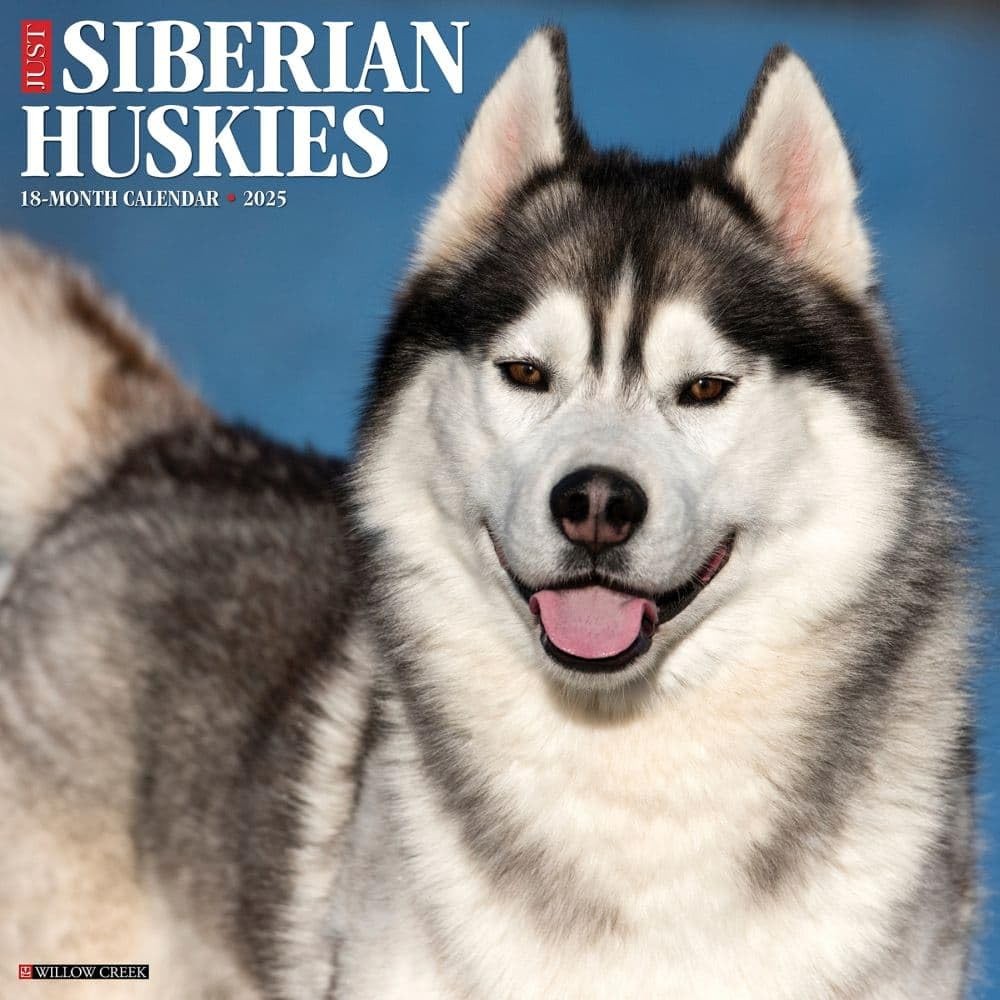 Just Siberian Huskies 2025 12″ x Wall Calendar